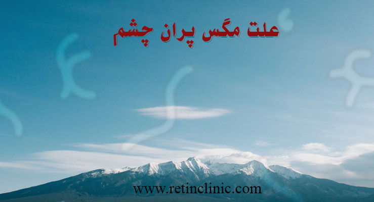 علت مگس پران