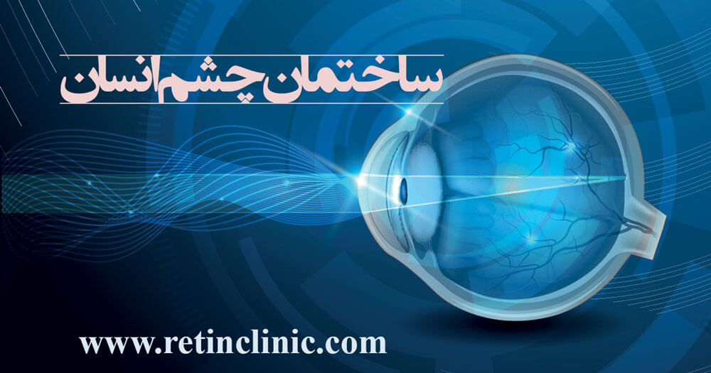 ساختمان چشم
